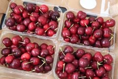 Cherry Mỹ Size 9