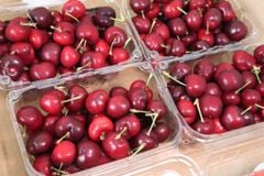 Cherry Mỹ Size 9