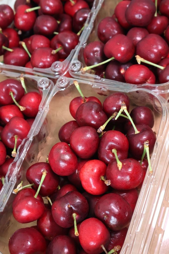 Cherry Mỹ Size 9
