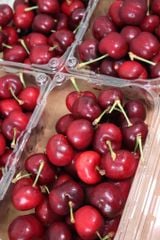 Cherry Mỹ Size 9