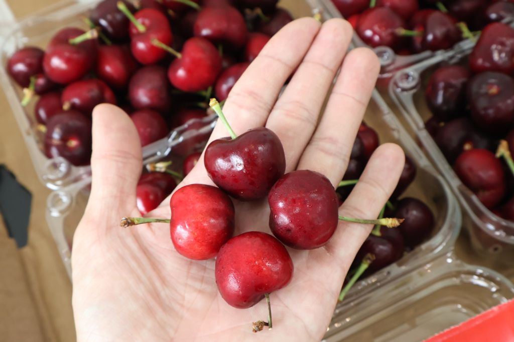 Cherry Mỹ Size 9