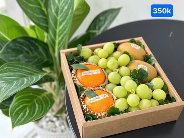 GIỎ QUÀ TẶNG - HF28