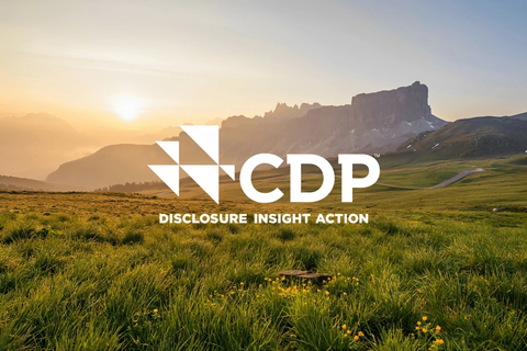  Đào tạo và tư vấn xếp hạng CDP 