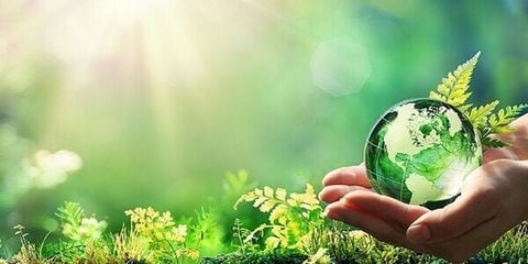  DỊCH VỤ ĐẢM BẢO CÓ GIỚI HẠN 