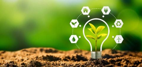  DỊCH VỤ XÁC NHẬN DỰ ÁN THUỘC DANH MỤC PHÂN LOẠI XANH 