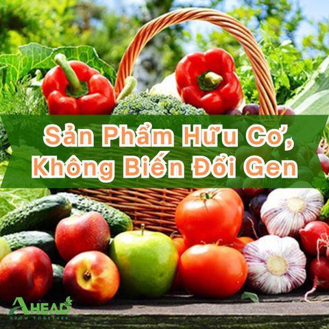  TƯ VẤN SẢN PHẨM HỮU CƠ, KHÔNG BIẾN ĐỔI GEN 