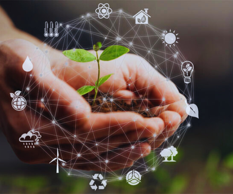  ESG CHUYÊN SÂU THEO CHỦ ĐỀ MÔI TRƯỜNG 