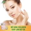 Sữa hạt Satyca Beauty – Đẹp dáng, đẹp da, chống lão hóa (Hộp 410g)