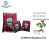 Kẹo Quả Sâm không đường Free Suger Ginseng Berry S candy 200g