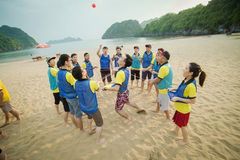 Áo Lưới Team Building - Áo Bóng Đá