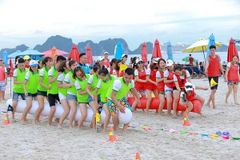 Áo Lưới Team Building - Áo Bóng Đá