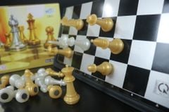 Bộ Cờ Vua Chess 3810