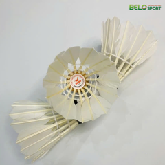 Hộp Cầu Lông Hải Âu Đỏ