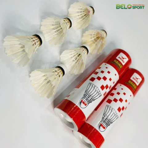 Hộp Cầu Lông Hải Âu Đỏ  6 Quả
