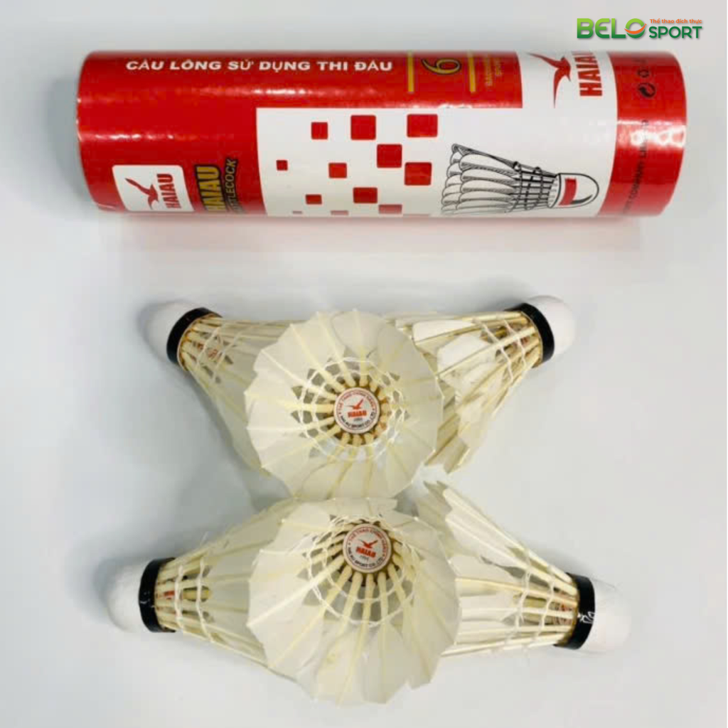 Hộp Cầu Lông Hải Âu Đỏ