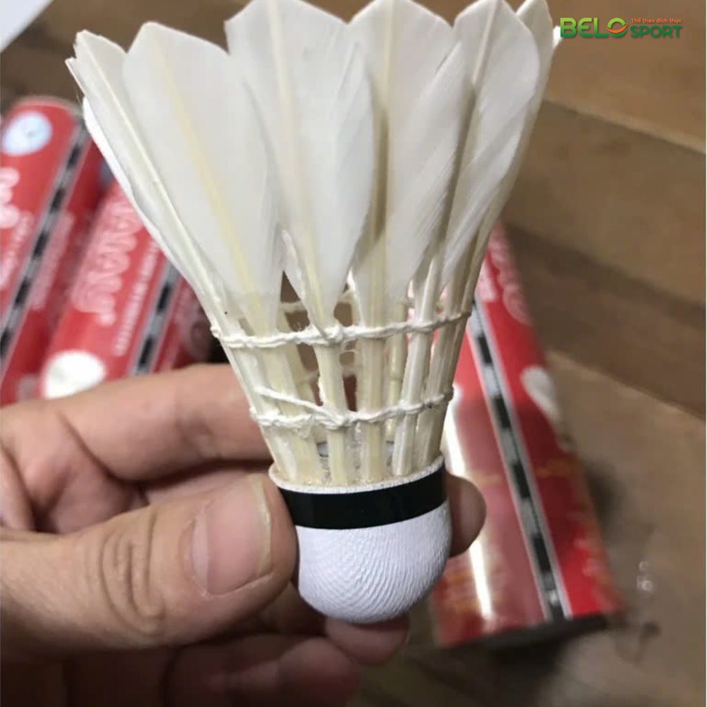 Hộp Cầu Lông Hải Âu Đỏ