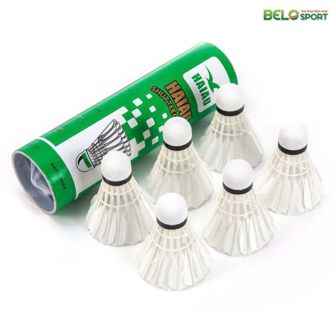 Hộp Cầu Hải Âu Xanh Lá Hộp 6 Quả