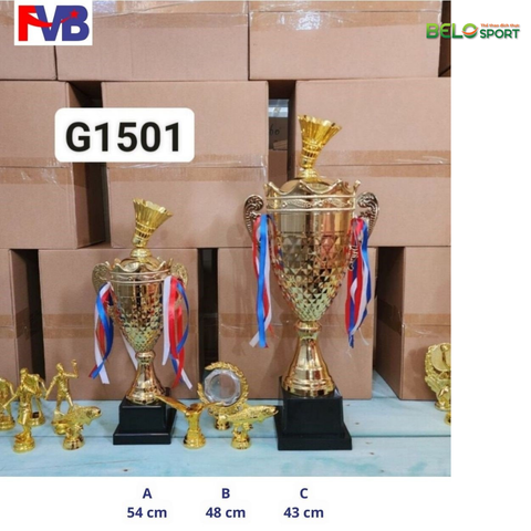 Cúp Thể Thao FVB 1501 Màu Bạc