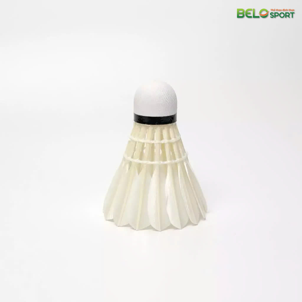Hộp Cầu Lông VINA STAR Bạc