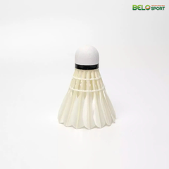 Hộp Cầu Lông VINA STAR Bạc