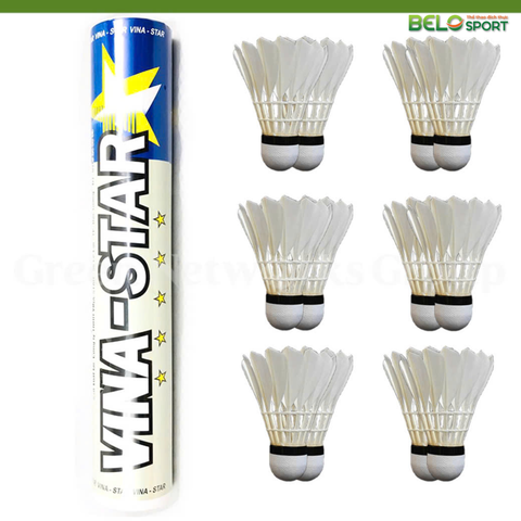 Hộp Cầu Lông VINA STAR Bạc