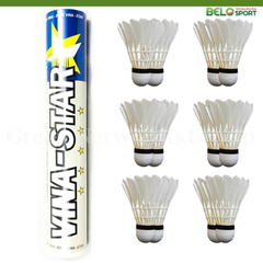 Hộp Cầu Lông VINA STAR Bạc