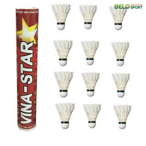 Hộp Cầu Lông VINA STAR Đỏ