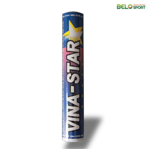 Hộp Cầu Lông VINA STAR Xanh