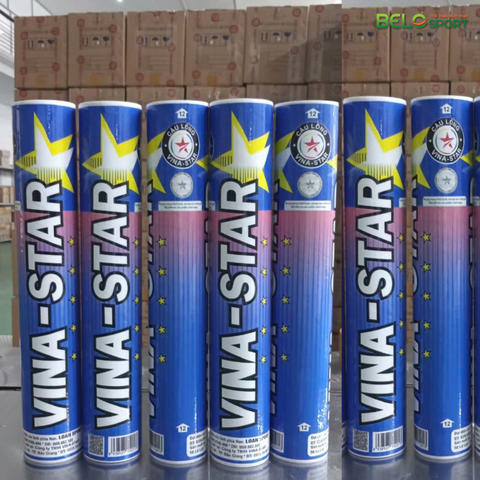 Hộp Cầu Lông VINA STAR Xanh