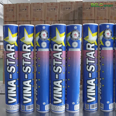 Hộp Cầu Lông VINA STAR Xanh