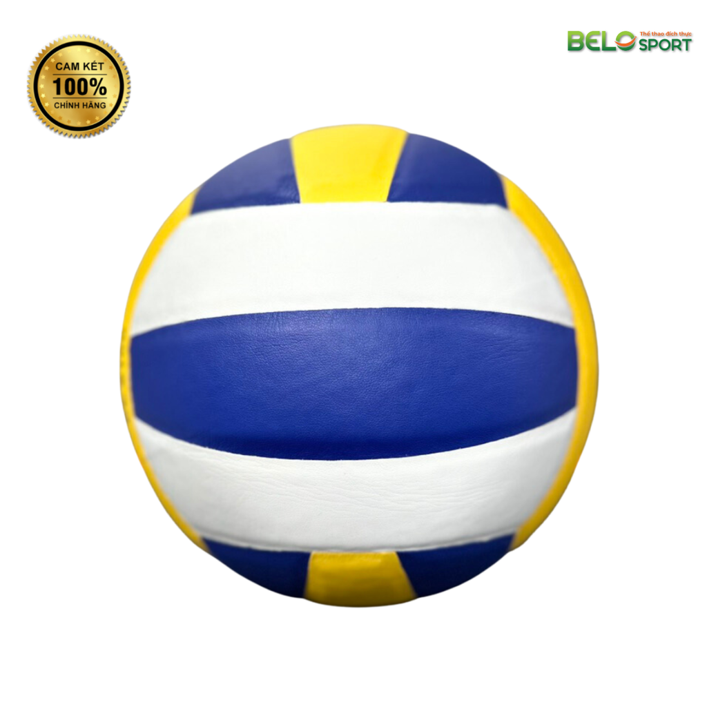 Quả Bóng Chuyền Da Động Lực Hunter DL21