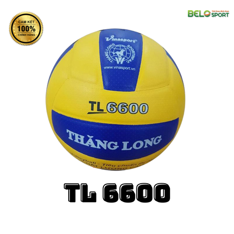 Quả Bóng Chuyền Da Thăng Long 6600