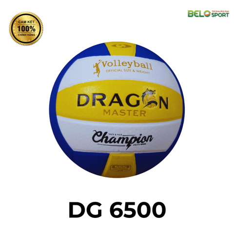 Quả Bóng Chuyền Da Thăng Long Dragon Master DG 6500