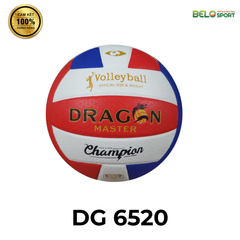 Quả Bóng Chuyền Da Thăng Long Dragon Master DG 6520