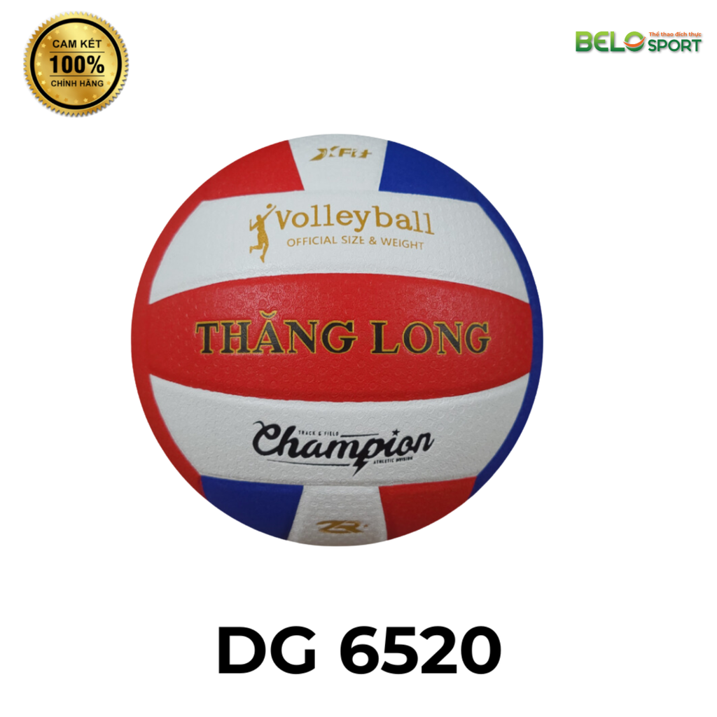 Quả Bóng Chuyền Da Thăng Long Dragon Master DG 6520