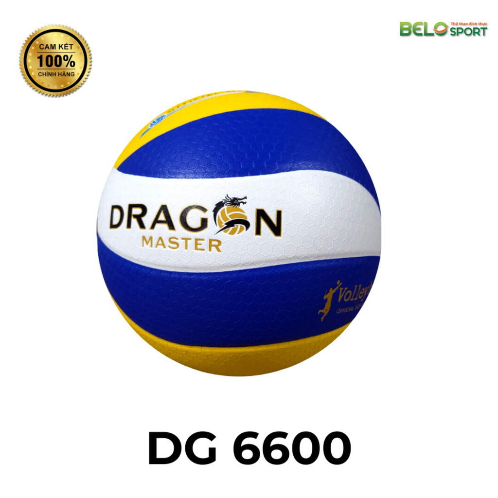 Quả Bóng Chuyền Da Thăng Long Dragon Master DG 6600