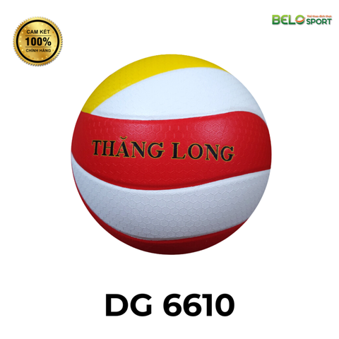 Quả Bóng Chuyền Da Thăng Long Dragon Master DG 6610