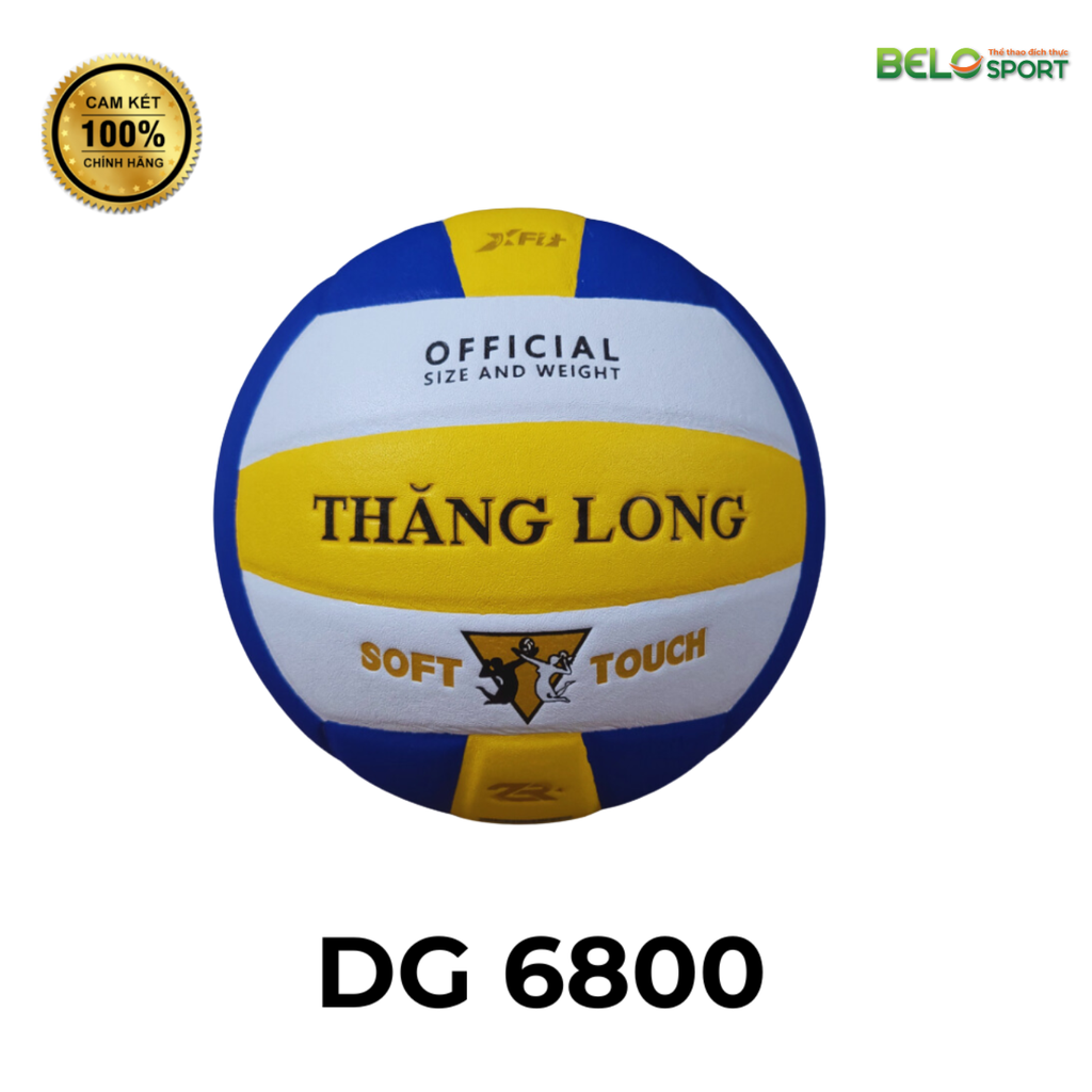 Quả Bóng Chuyền Da Thăng Long Dragon Master DG 6800