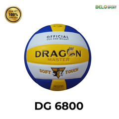 Quả Bóng Chuyền Da Thăng Long Dragon Master DG 6800