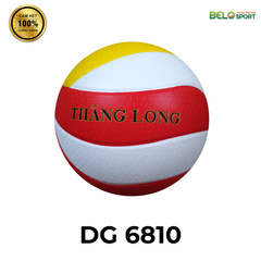 Quả Bóng Chuyền Da Thăng Long Dragon Master DG 6810