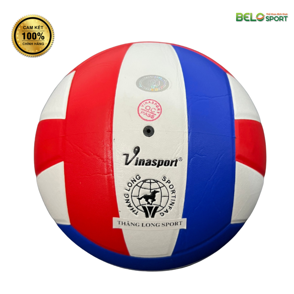 Quả Bóng Chuyền Da Thăng Long VB 5060