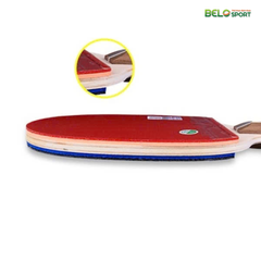 Vợt Bóng Bàn 729-2020 Chính Hãng Giá Rẻ