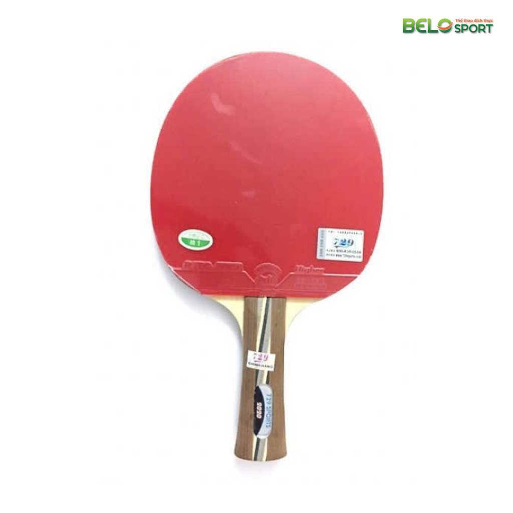 Vợt Bóng Bàn 729-2020 Chính Hãng Giá Rẻ
