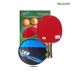 Vợt Bóng Bàn 729-2020 Chính Hãng Giá Rẻ