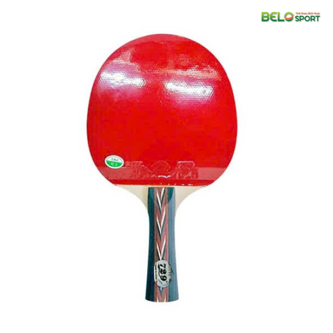 Vợt Bóng Bàn 729-2040 Chính Hãng Giá Rẻ