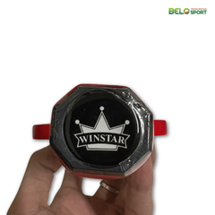 Vợt Pickelball Winstar T700-1