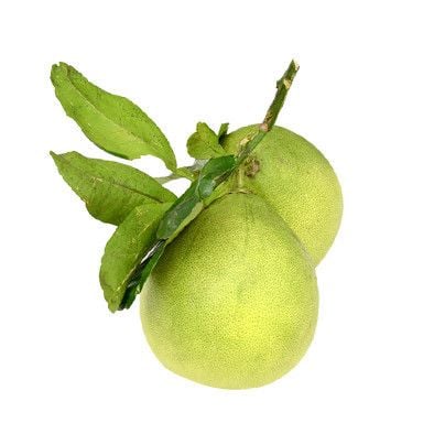  Bưởi năm roi 