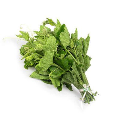  Đọt bí đỏ 