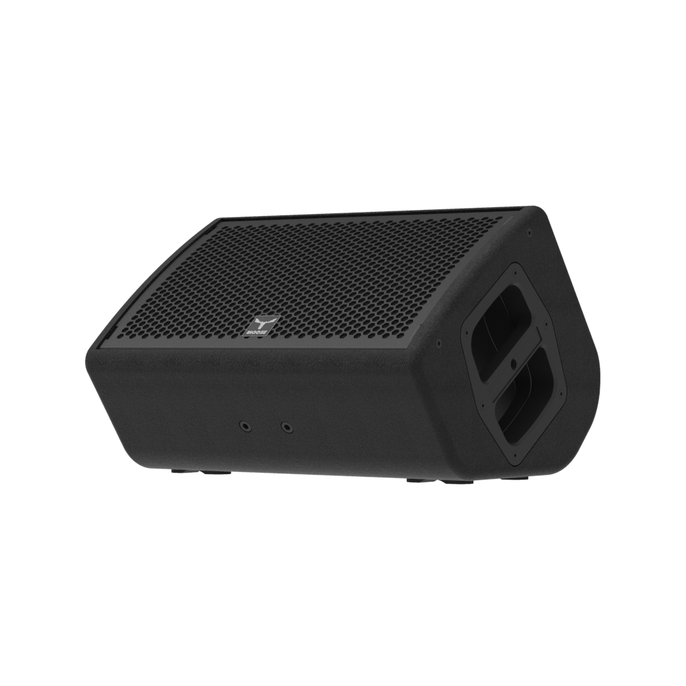 Loa monitor MOOSE CX12