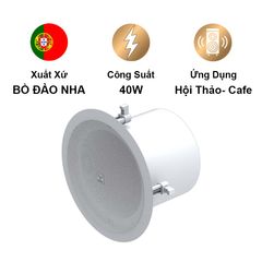 Loa âm trần  MOOSE CS85